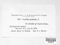 Image Associated With the Occurence